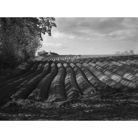 Furrows Black Modern Wood Framed Art Print with Double Matting by Henson, Martin