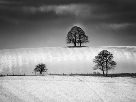 Winter Triangle White Modern Wood Framed Art Print with Double Matting by Henson, Martin