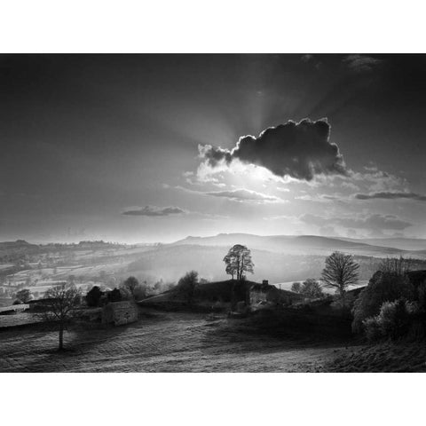 Light from Behind Black Modern Wood Framed Art Print by Henson, Martin