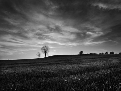 Black and White Sunset White Modern Wood Framed Art Print with Double Matting by Henson, Martin