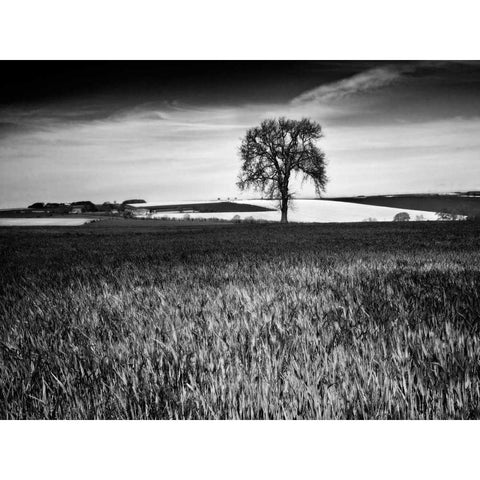 Field Texture Black Modern Wood Framed Art Print with Double Matting by Henson, Martin