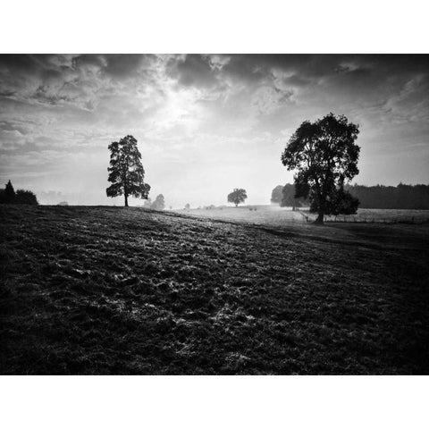 Breaking Light Black Modern Wood Framed Art Print by Henson, Martin