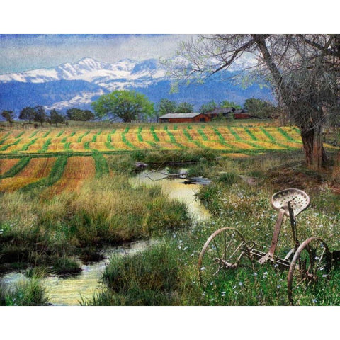 Idyllic Farm I Black Modern Wood Framed Art Print by Vest, Chris