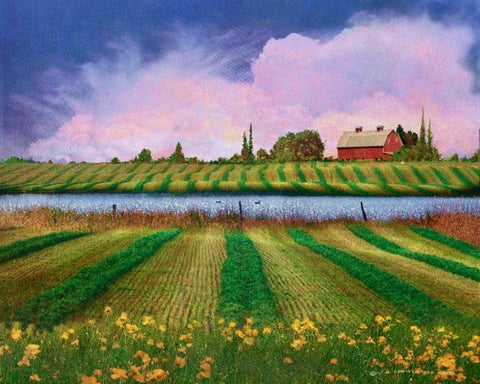 Idyllic Farm II Black Ornate Wood Framed Art Print with Double Matting by Vest, Chris