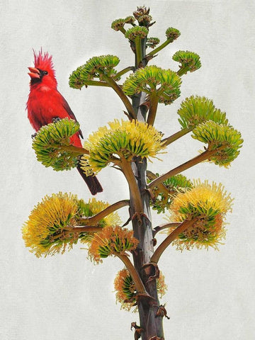 Avian Tropics I Black Ornate Wood Framed Art Print with Double Matting by Vest, Chris