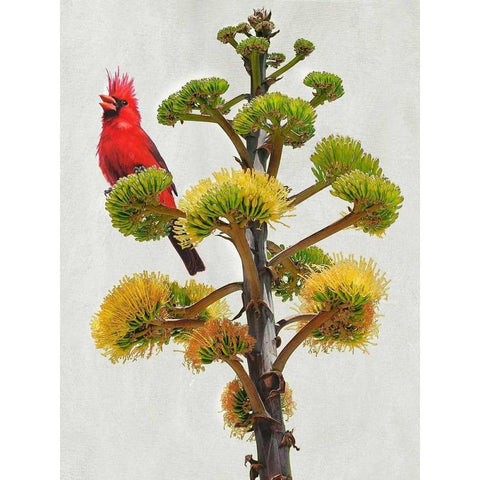 Avian Tropics I Gold Ornate Wood Framed Art Print with Double Matting by Vest, Chris