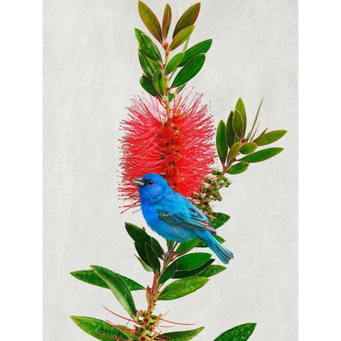 Avian Tropics III White Modern Wood Framed Art Print by Vest, Chris