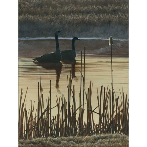 First Light I Gold Ornate Wood Framed Art Print with Double Matting by Szatkowski, Fred