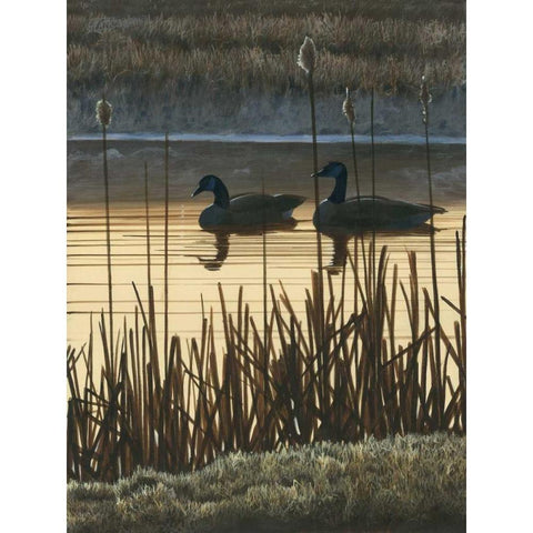 First Light II Black Modern Wood Framed Art Print with Double Matting by Szatkowski, Fred