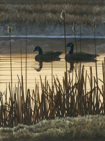 First Light II White Modern Wood Framed Art Print with Double Matting by Szatkowski, Fred