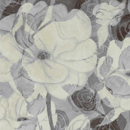 Image Only