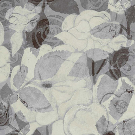 Image Only