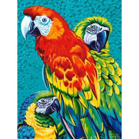 Birds in Paradise III White Modern Wood Framed Art Print by Vitaletti, Carolee