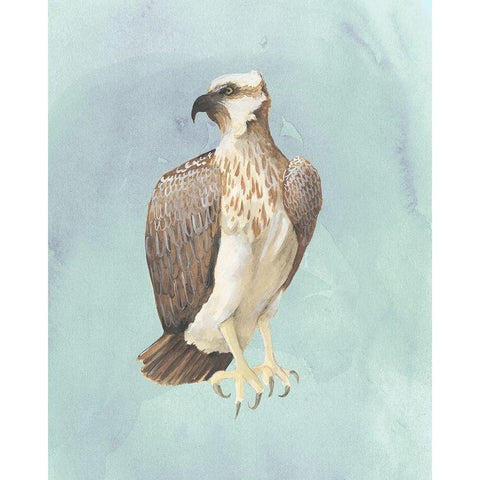 Watercolor Beach Bird IV White Modern Wood Framed Art Print by Popp, Grace