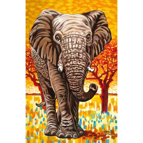 Wild Africa I White Modern Wood Framed Art Print by Vitaletti, Carolee