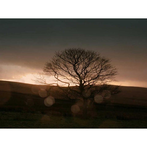 Stormy Sunset II Black Modern Wood Framed Art Print with Double Matting by Bell, Lillian