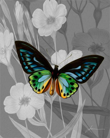 On Display I Black Ornate Wood Framed Art Print with Double Matting by Burghardt, James