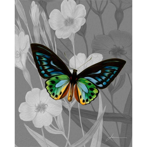 On Display I Black Modern Wood Framed Art Print with Double Matting by Burghardt, James