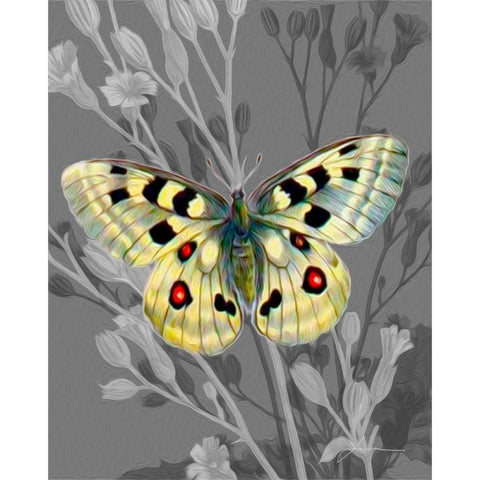 On Display II White Modern Wood Framed Art Print by Burghardt, James