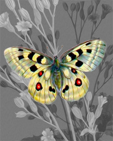 On Display II White Modern Wood Framed Art Print with Double Matting by Burghardt, James