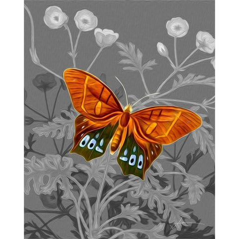 On Display III Black Modern Wood Framed Art Print with Double Matting by Burghardt, James