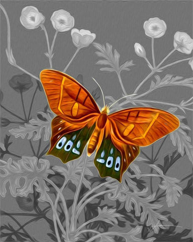 On Display III White Modern Wood Framed Art Print with Double Matting by Burghardt, James