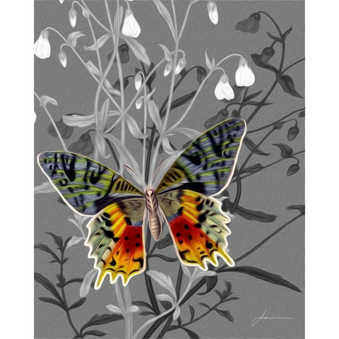 On Display IV Gold Ornate Wood Framed Art Print with Double Matting by Burghardt, James