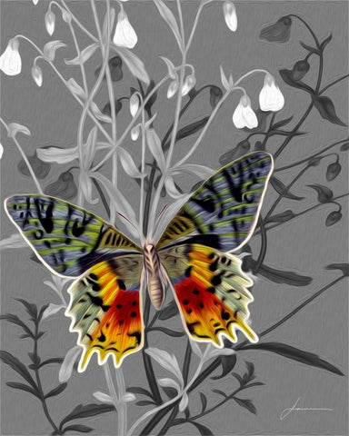 On Display IV Black Ornate Wood Framed Art Print with Double Matting by Burghardt, James