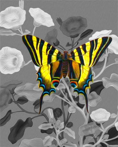 On Display V White Modern Wood Framed Art Print with Double Matting by Burghardt, James