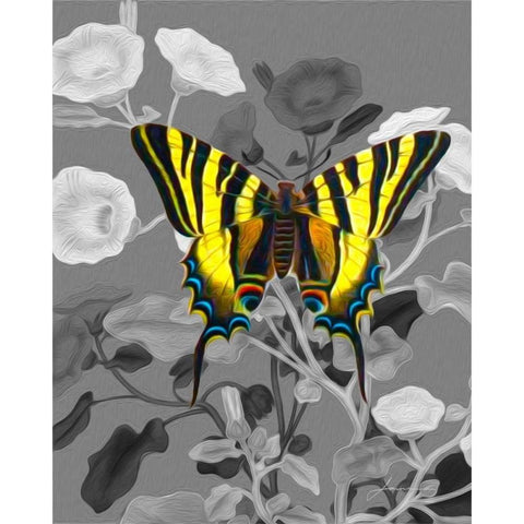 On Display V Black Modern Wood Framed Art Print with Double Matting by Burghardt, James