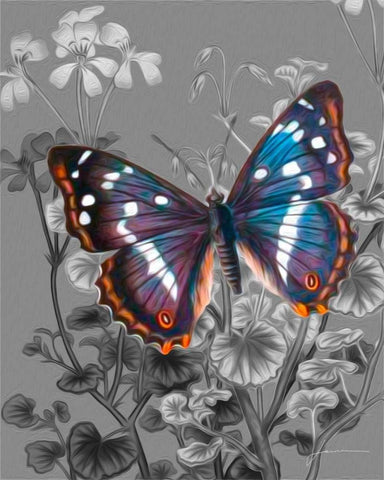 On Display VI White Modern Wood Framed Art Print with Double Matting by Burghardt, James