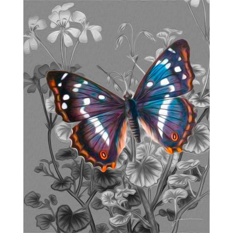 On Display VI Gold Ornate Wood Framed Art Print with Double Matting by Burghardt, James