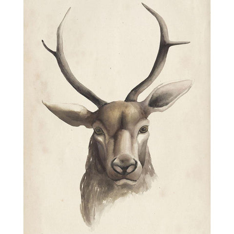 Watercolor Animal Study I White Modern Wood Framed Art Print by Popp, Grace