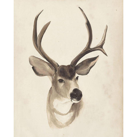 Watercolor Animal Study II White Modern Wood Framed Art Print by Popp, Grace