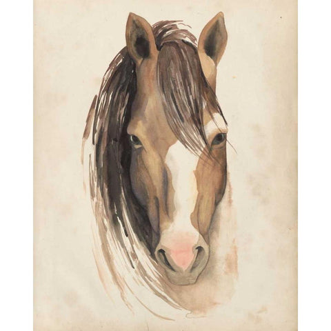 Watercolor Animal Study V White Modern Wood Framed Art Print by Popp, Grace