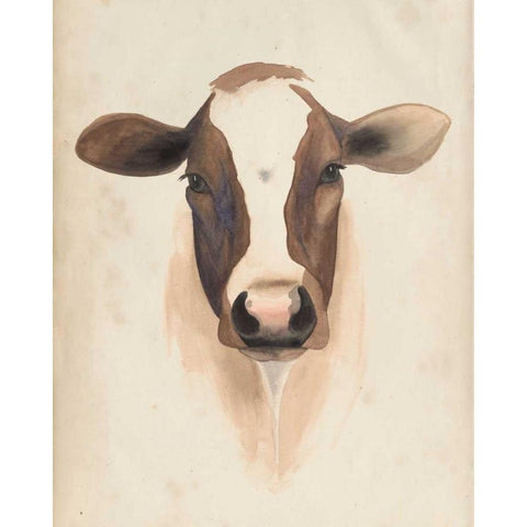 Watercolor Animal Study VII Black Modern Wood Framed Art Print with Double Matting by Popp, Grace