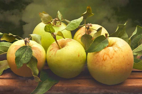 Jills Green Apples I White Modern Wood Framed Art Print with Double Matting by Perry, Rachel