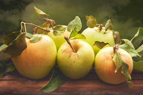 Jills Green Apples II Black Ornate Wood Framed Art Print with Double Matting by Perry, Rachel