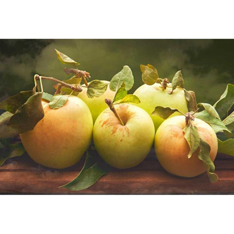 Jills Green Apples II Gold Ornate Wood Framed Art Print with Double Matting by Perry, Rachel