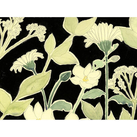 White Night Flowers I White Modern Wood Framed Art Print by Popp, Grace