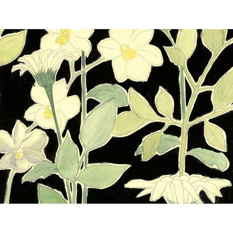 White Night Flowers II Gold Ornate Wood Framed Art Print with Double Matting by Popp, Grace