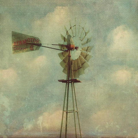 In Country I White Modern Wood Framed Art Print with Double Matting by Malek, Honey