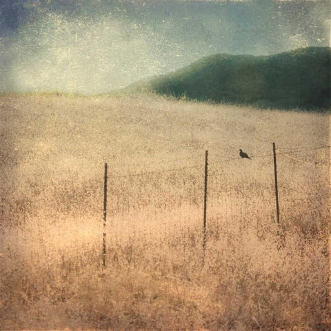 In Country II Black Modern Wood Framed Art Print by Malek, Honey