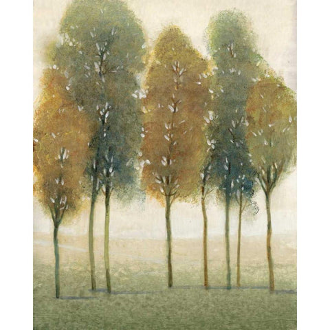 Beyond the Trees II Black Modern Wood Framed Art Print with Double Matting by OToole, Tim