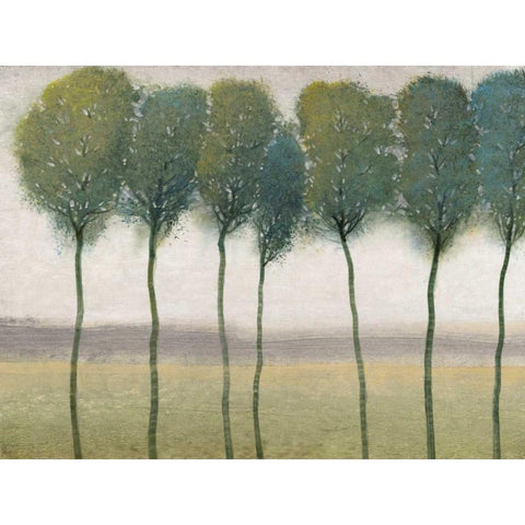 Row of Trees I White Modern Wood Framed Art Print by OToole, Tim