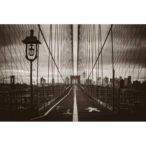 Cabels Web Black Modern Wood Framed Art Print by Brooknam, John