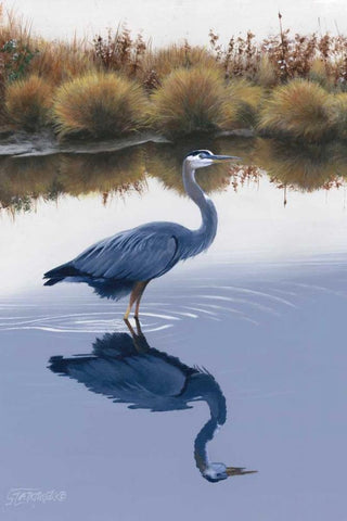 Blackwater Reflections I Black Ornate Wood Framed Art Print with Double Matting by Szatkowski, Fred