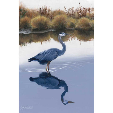 Blackwater Reflections I Black Modern Wood Framed Art Print with Double Matting by Szatkowski, Fred