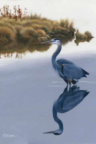 Blackwater Reflections II Black Ornate Wood Framed Art Print with Double Matting by Szatkowski, Fred