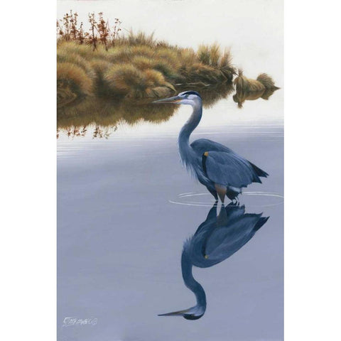 Blackwater Reflections II White Modern Wood Framed Art Print by Szatkowski, Fred